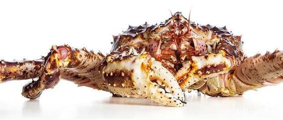 俄羅斯擴(kuò)大對(duì)華海鮮出口 比目魚(yú)與牡丹蝦的新機(jī)遇