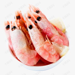 探索千庫(kù)網(wǎng)高清綠色海鮮素材 免費(fèi)下載的實(shí)用指南